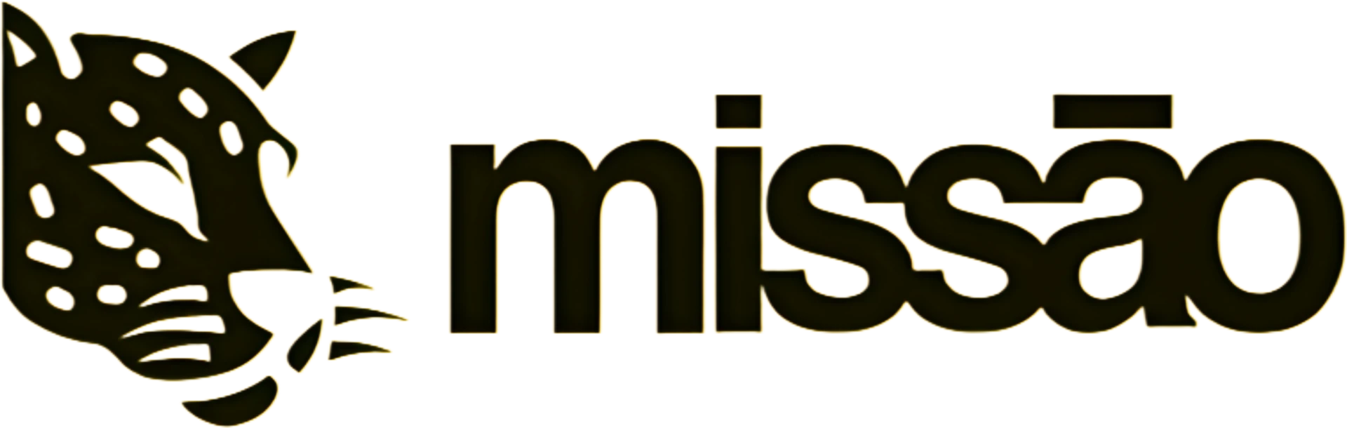 Partido Missão